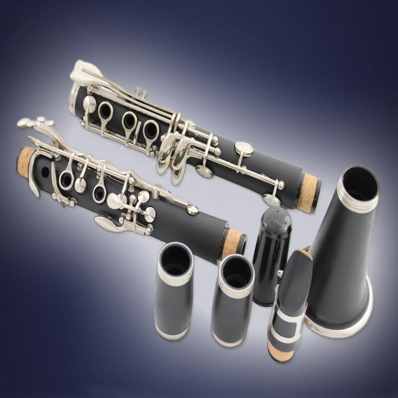 HOGSN clarinet in B flat，beginner's performance, professional playing instrument with box, cleaning kit. - Image 3
